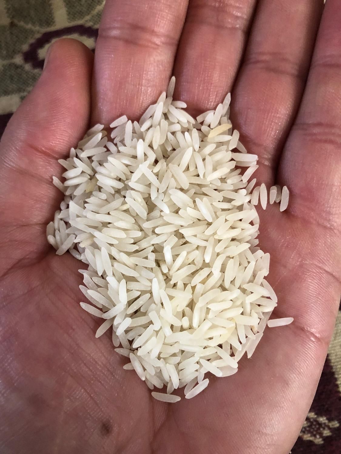 برنج فجر 5ستاره|خوردنی و آشامیدنی|شیراز, پودنک|دیوار
