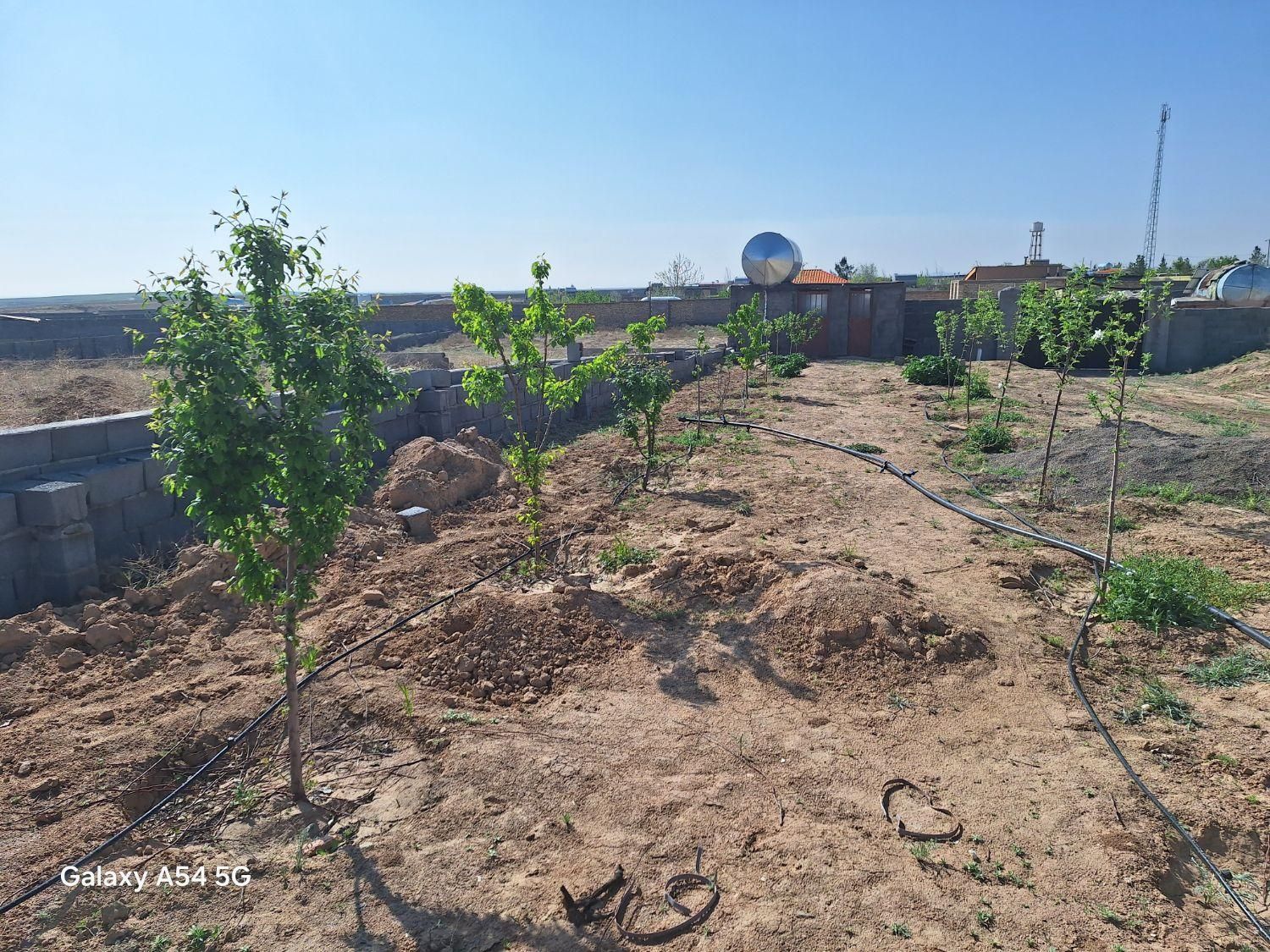 فروش باغ دور دیوار در قشلاق (مقابل تپه سلام )|فروش خانه و ویلا|رضویه, |دیوار