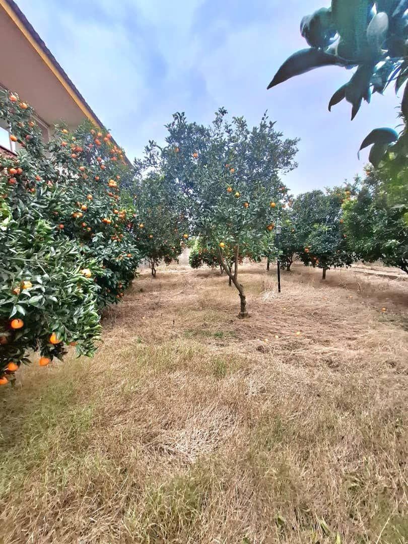 باغویلا2500مترسندو پروانه درختان مرکبات فریدونکنار|فروش خانه و ویلا|فریدون‌کنار, |دیوار