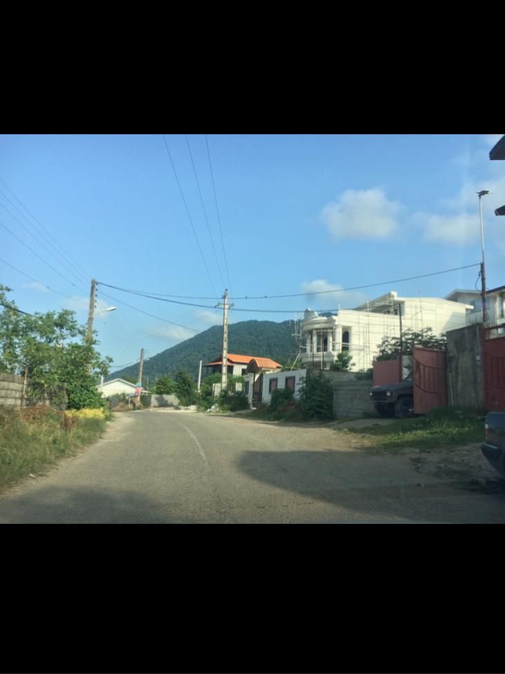 فروش زمین جنگلی باسند تک برگ|فروش زمین و ملک کلنگی|چابکسر, |دیوار