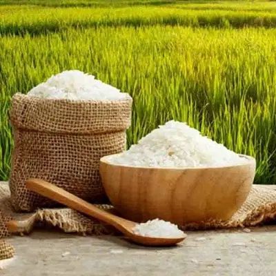 برنج طارم معطر شمال ، اصل|خوردنی و آشامیدنی|تهران, تهرانپارس غربی|دیوار
