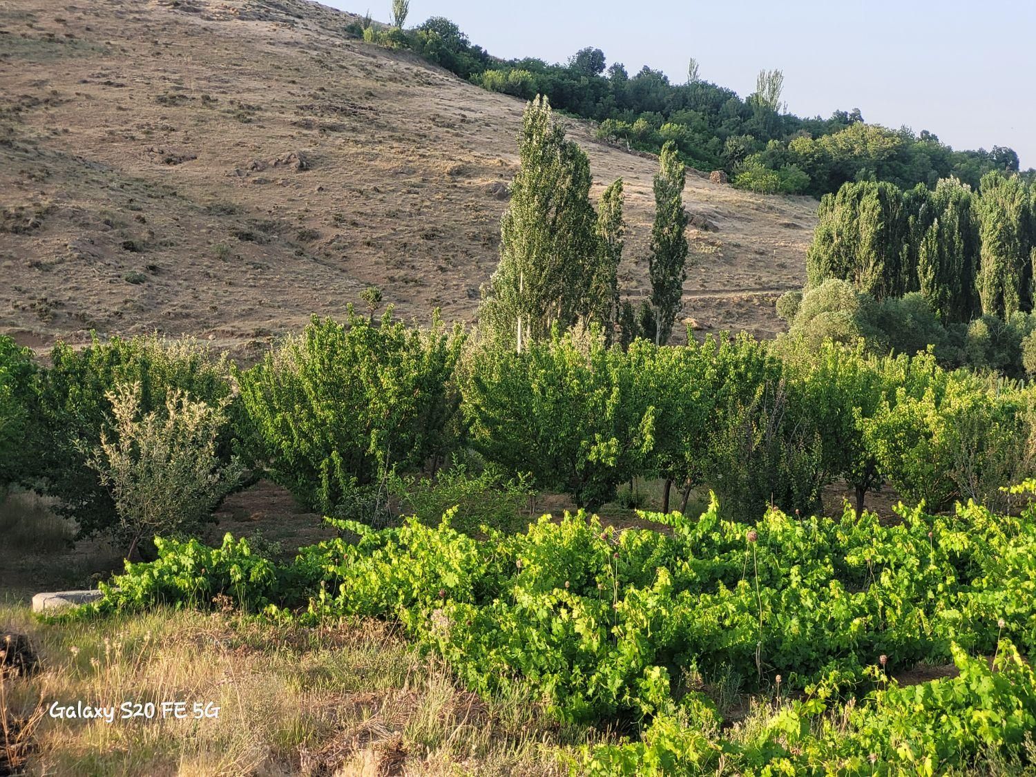 فروش زمین ۲۰۰۰ متری|فروش زمین و ملک کلنگی|فریدونشهر, |دیوار