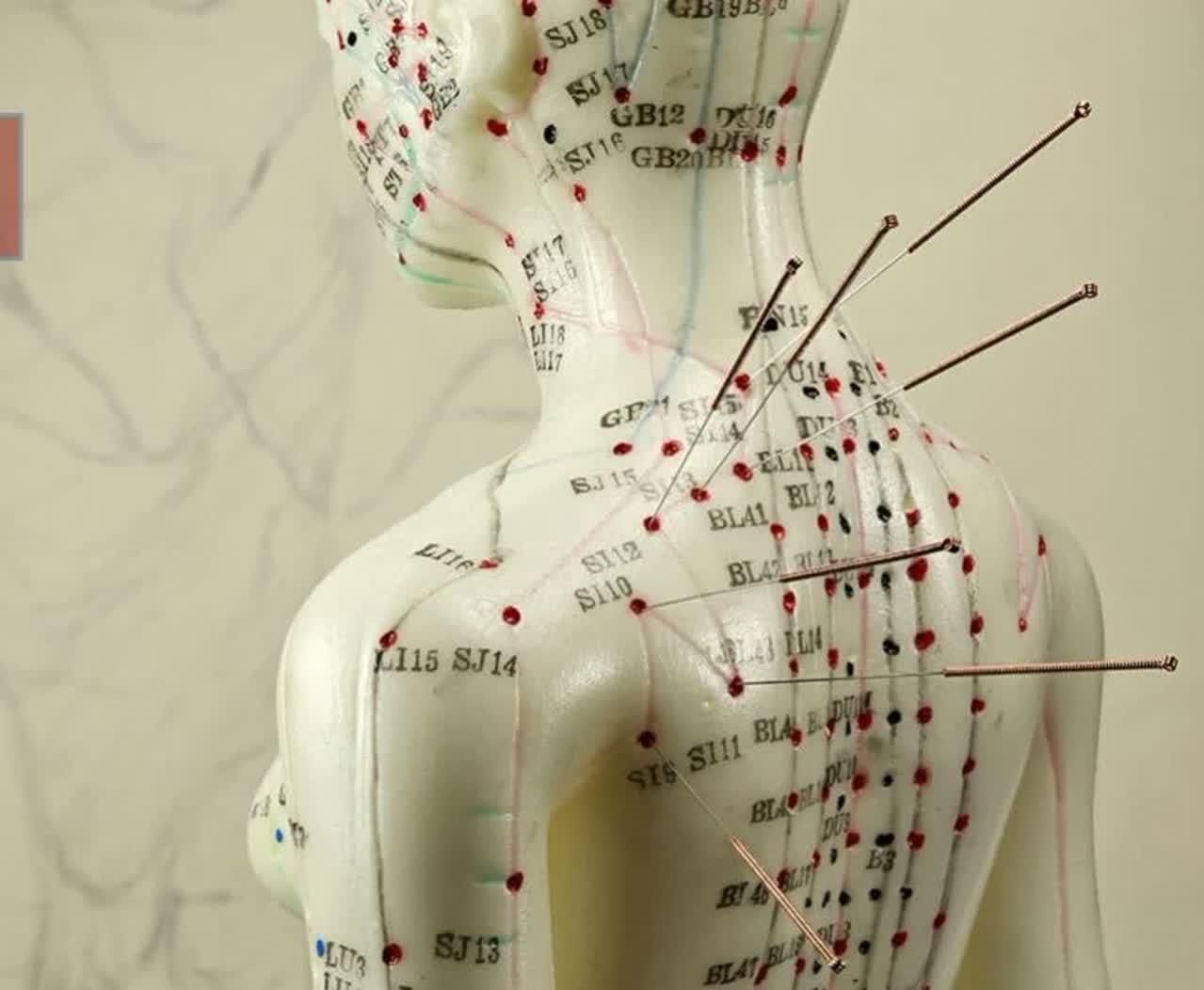 آموزش و درمان با طب سنتی، چینی،پاکستانی،کره|خدمات آموزشی|مشهد, نوفل لوشاتو|دیوار