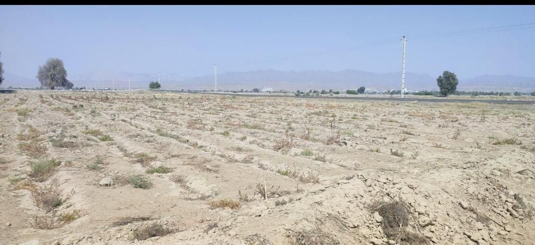 فروش سه هکتارونیم زمین کشاورزی زیارت مولامیناب|فروش دفتر صنعتی، کشاورزی، تجاری|میناب, |دیوار