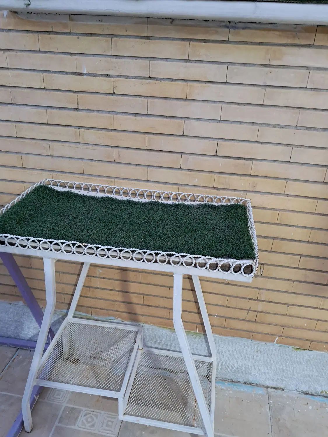 زیر اکواریوم|ماهی|اصفهان, بهارستان|دیوار