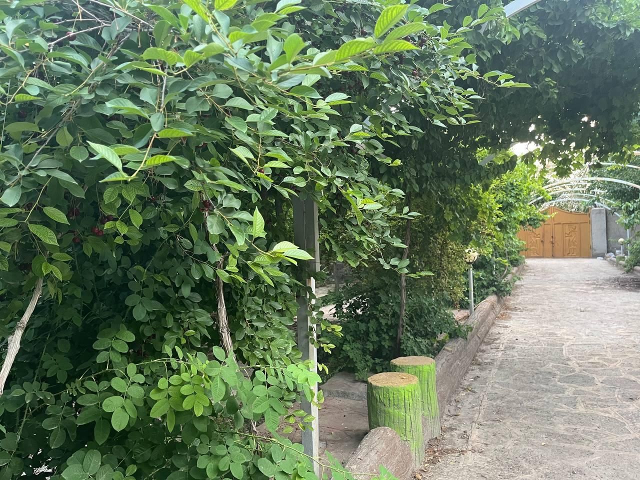 باغ ویلا ۱۵۰۰ متر مربع فول ( بازمرگان  باران )|فروش خانه و ویلا|مشهد, الهیه|دیوار