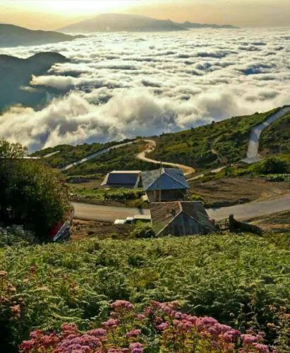 تور ماسال|تور و چارتر|تهران, فردوسی|دیوار