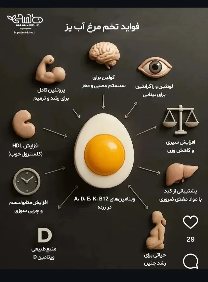 تخم مرغ محلی تازه ارگانیک|خوردنی و آشامیدنی|تهران, قیطریه|دیوار
