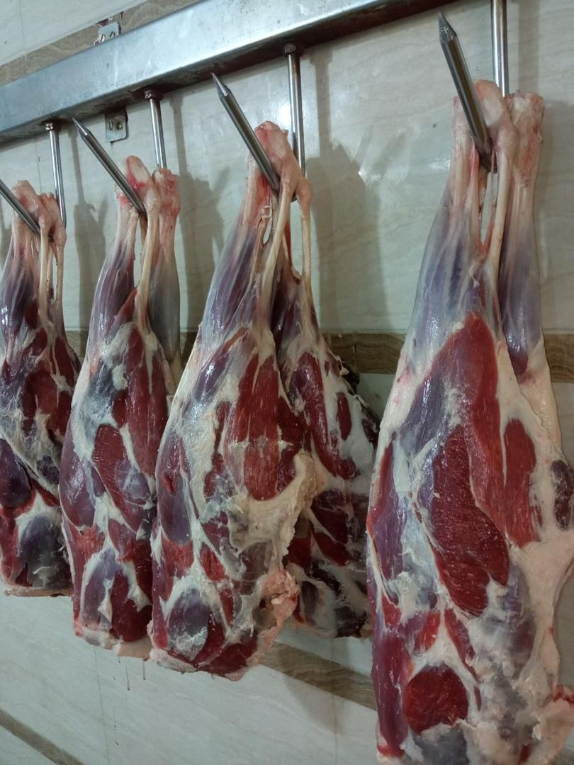 گوشت گرم  پایتخت|خوردنی و آشامیدنی|تهران, امیریه|دیوار