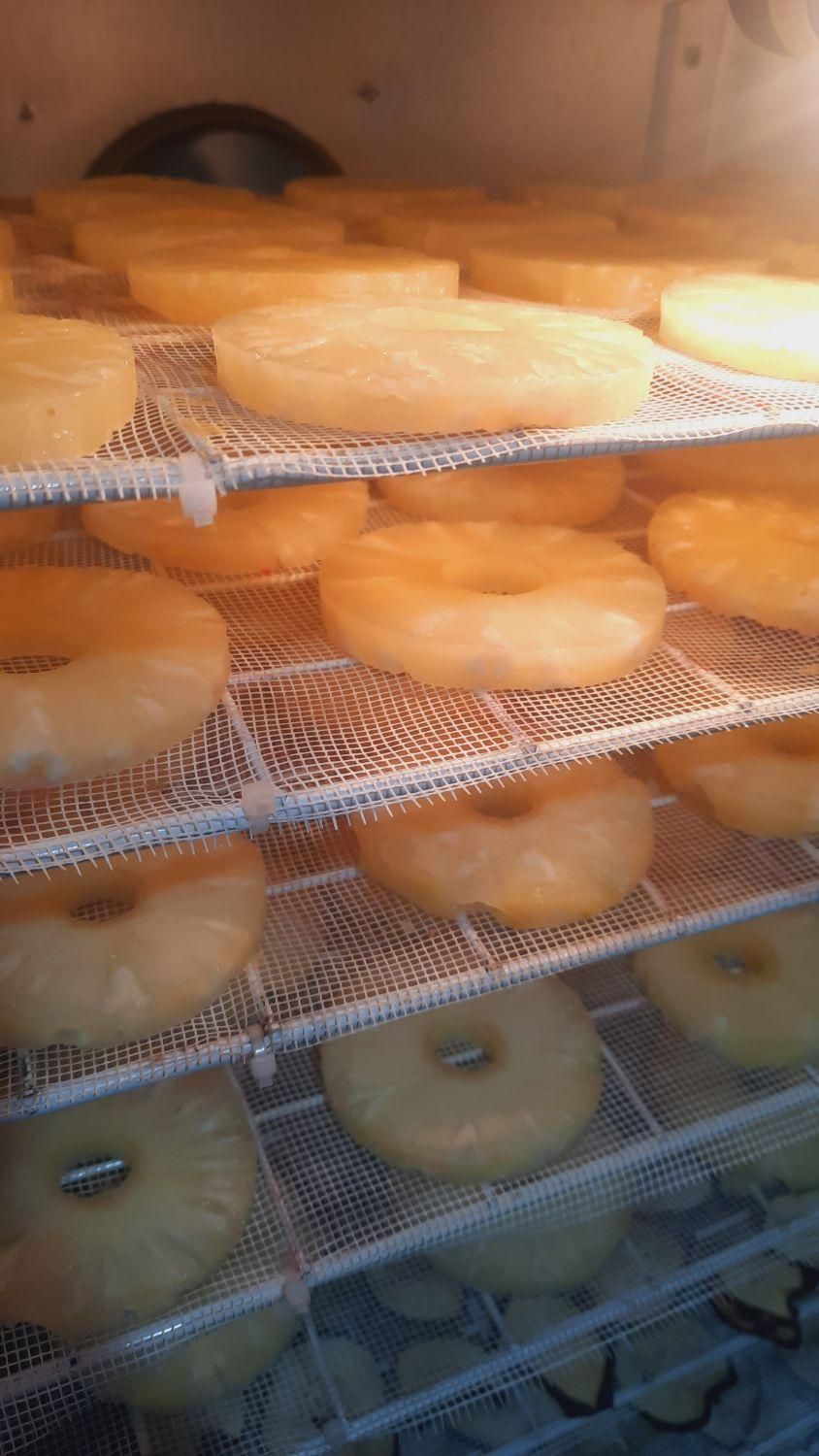 خشک کن میوه و کشک|سایر لوازم برقی|ملکان, |دیوار