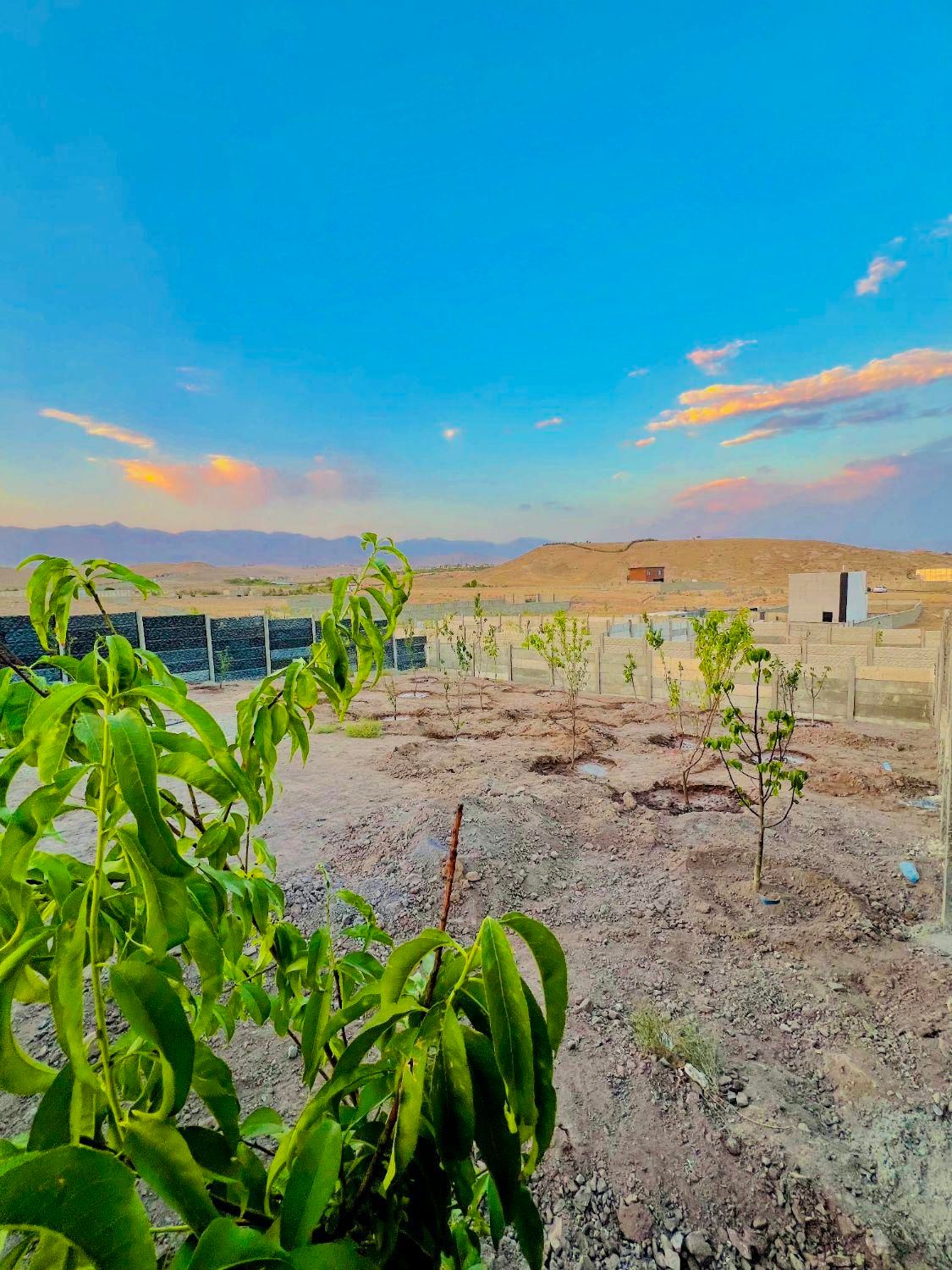 ۹۰۰متر زمین/چهاردیواری/شهرکی/در کوشک زر - کوهسار|فروش زمین و ملک کلنگی|هشتگرد, کوشک زر|دیوار