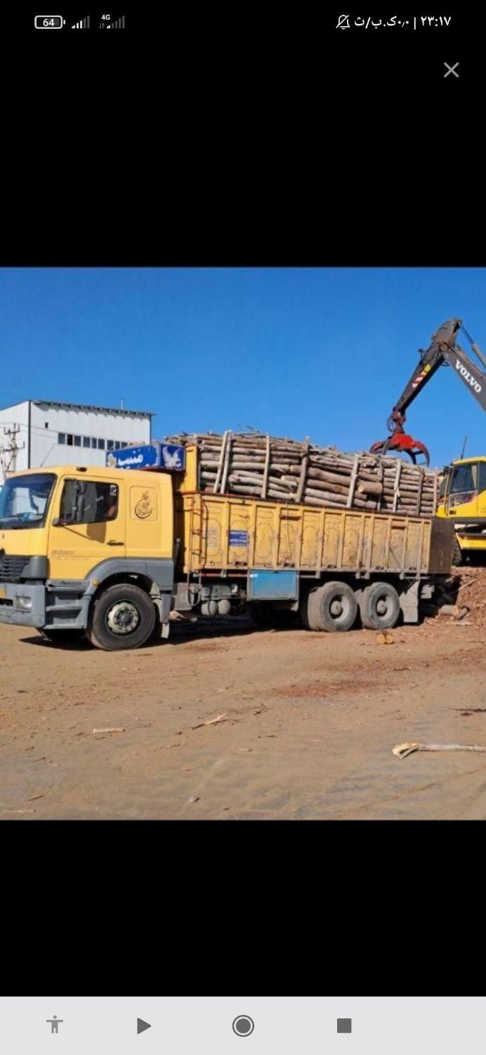 خریداره چوب مرکبات وغیره درباغ|خدمات باغبانی و درختکاری|جهرم, |دیوار