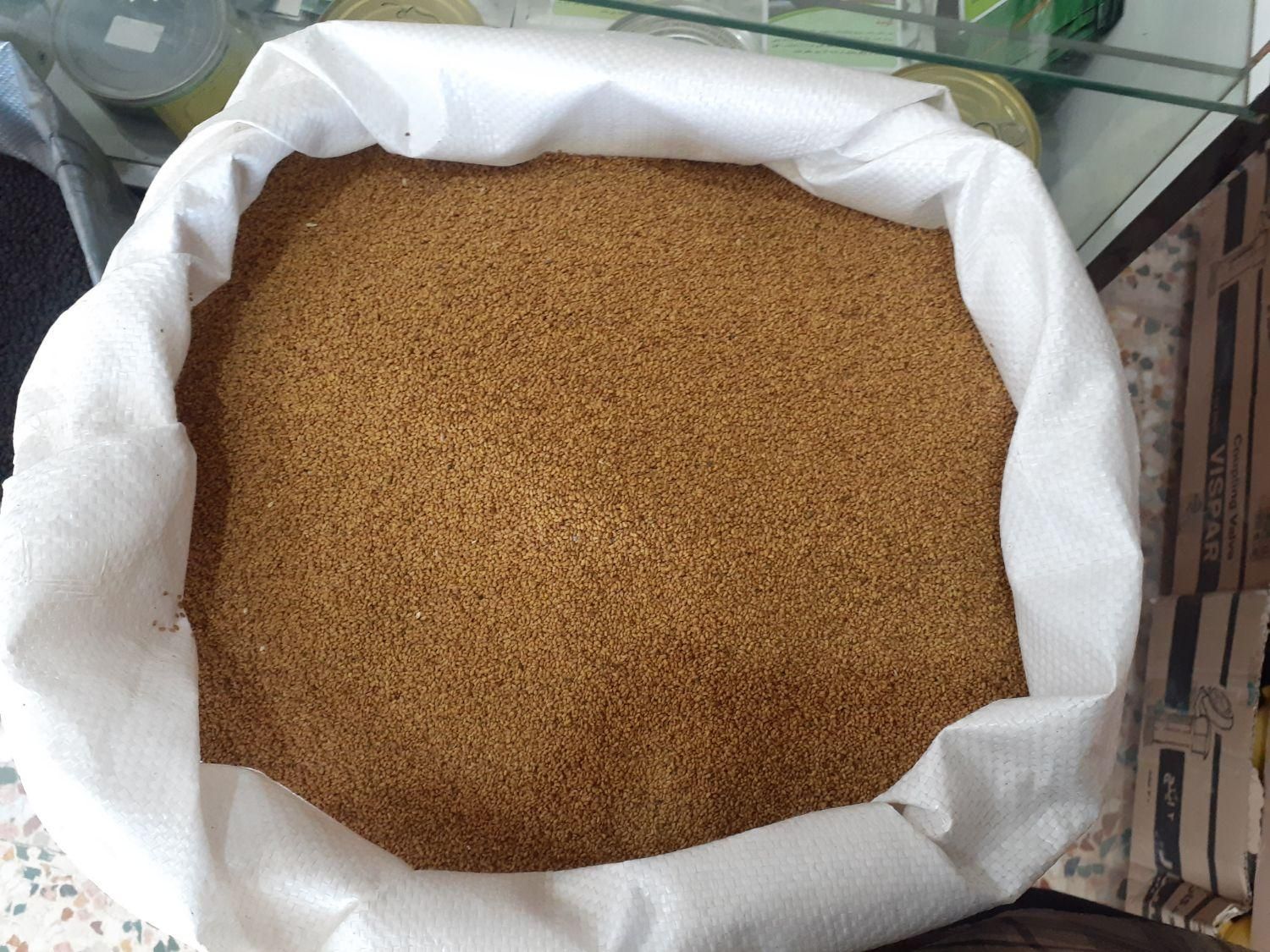 بذر یونجه رنجر اصل پابلند درجه یک|خدمات باغبانی و درختکاری|شهرکرد, |دیوار