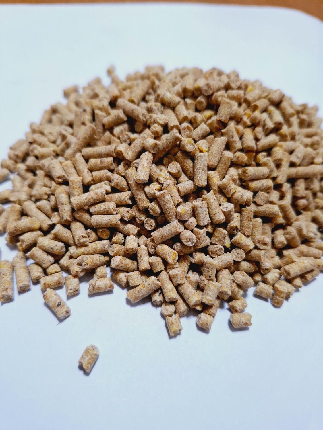 دان تخصصی بوقلمون|لوازم جانبی حیوانات|رشت, جماران|دیوار