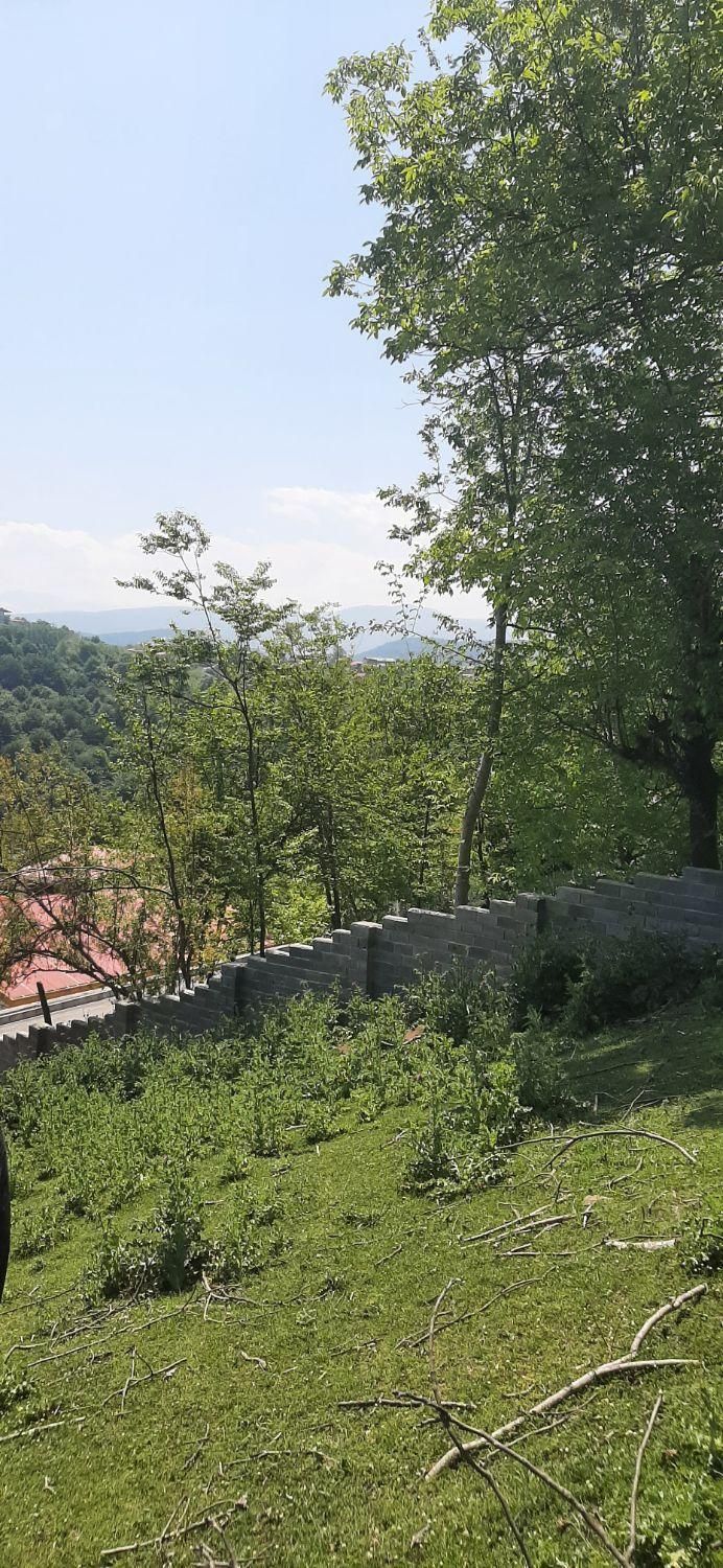 فروش زمین ۳۰۰متری واقع در سوادکوه|فروش زمین و ملک کلنگی|زیرآب, |دیوار