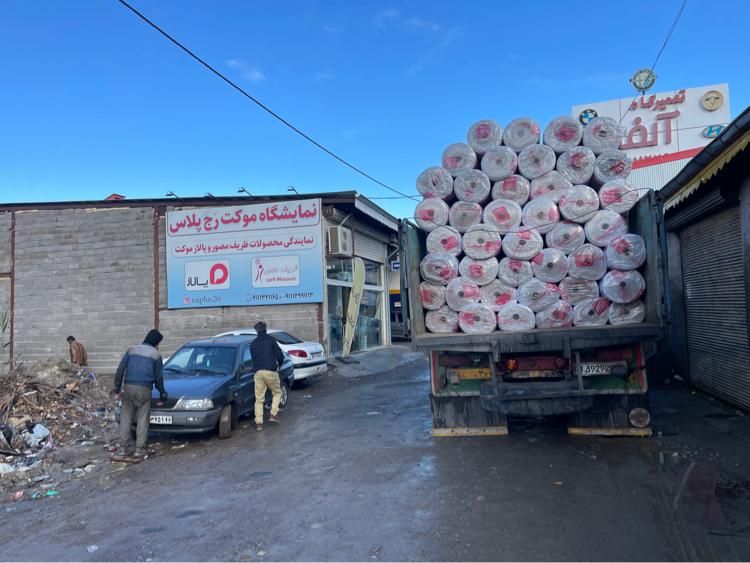 موکت ظریف مصور|موکت|رشت, کوی عرفان|دیوار