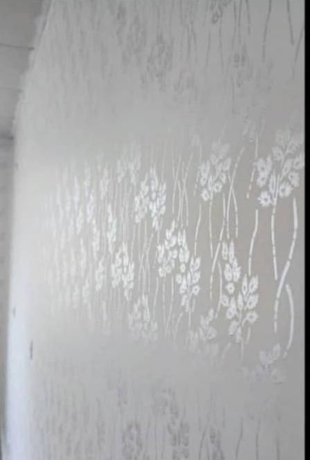 نقاشی منازل و ساختمان ال|خدمات پیشه و مهارت|آستارا, |دیوار