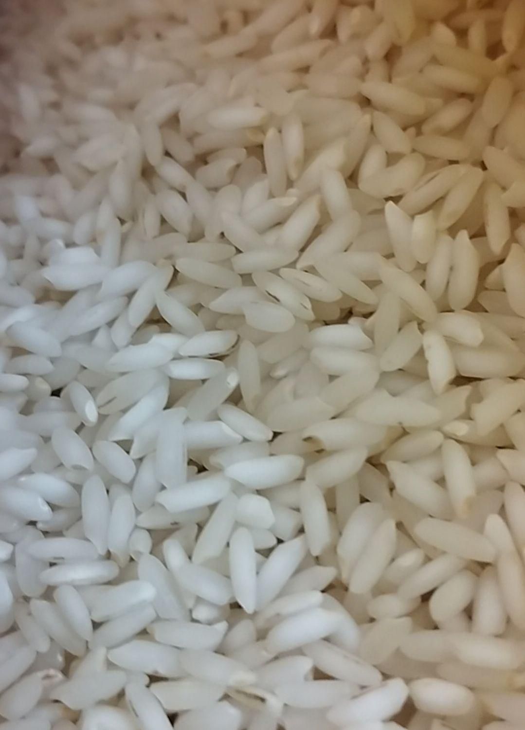 برنج عنبربو خوزستان|خوردنی و آشامیدنی|بروجرد, |دیوار