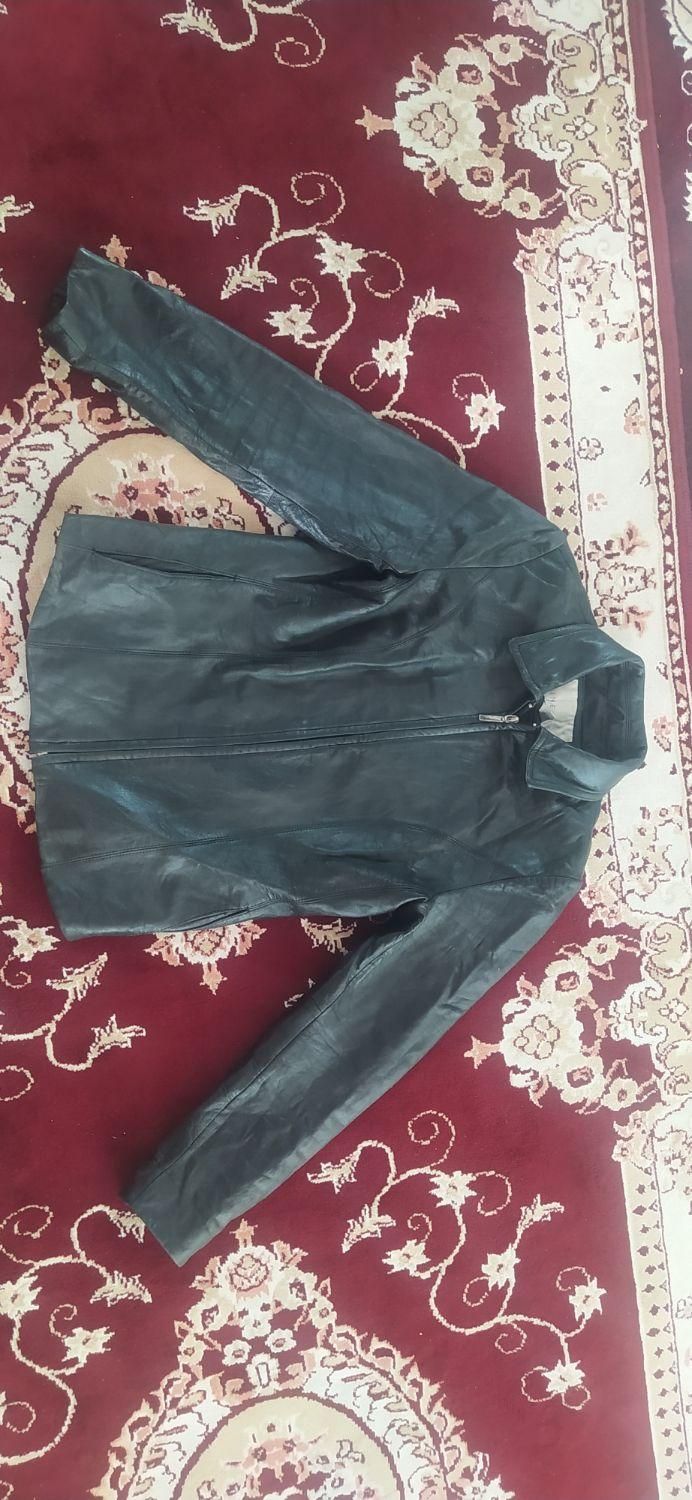 کت چرم طبیعی بزی|لباس|اصفهان, دارک|دیوار
