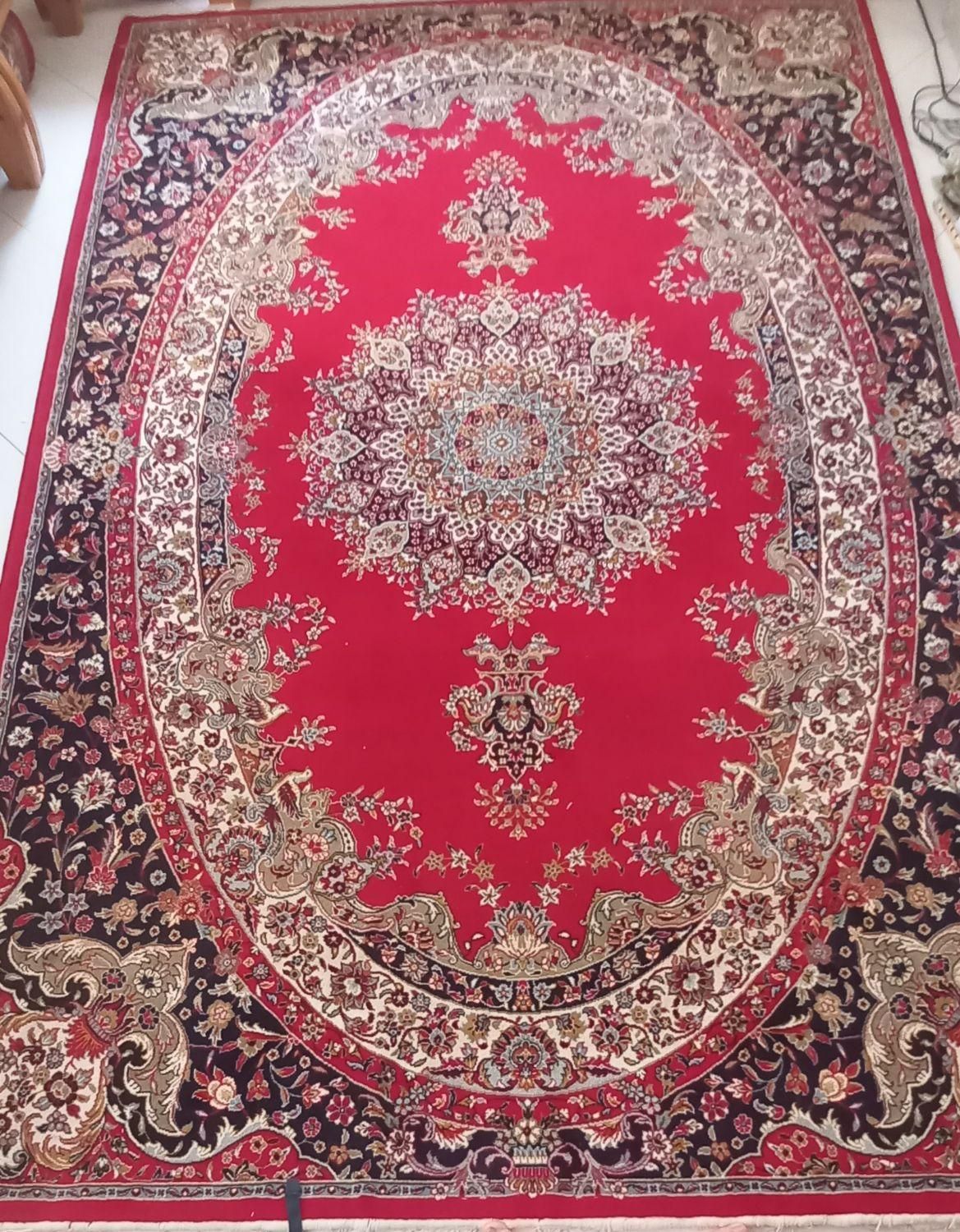 فرش ۶متری  (دو عدد)|فرش|رشت, معلم|دیوار
