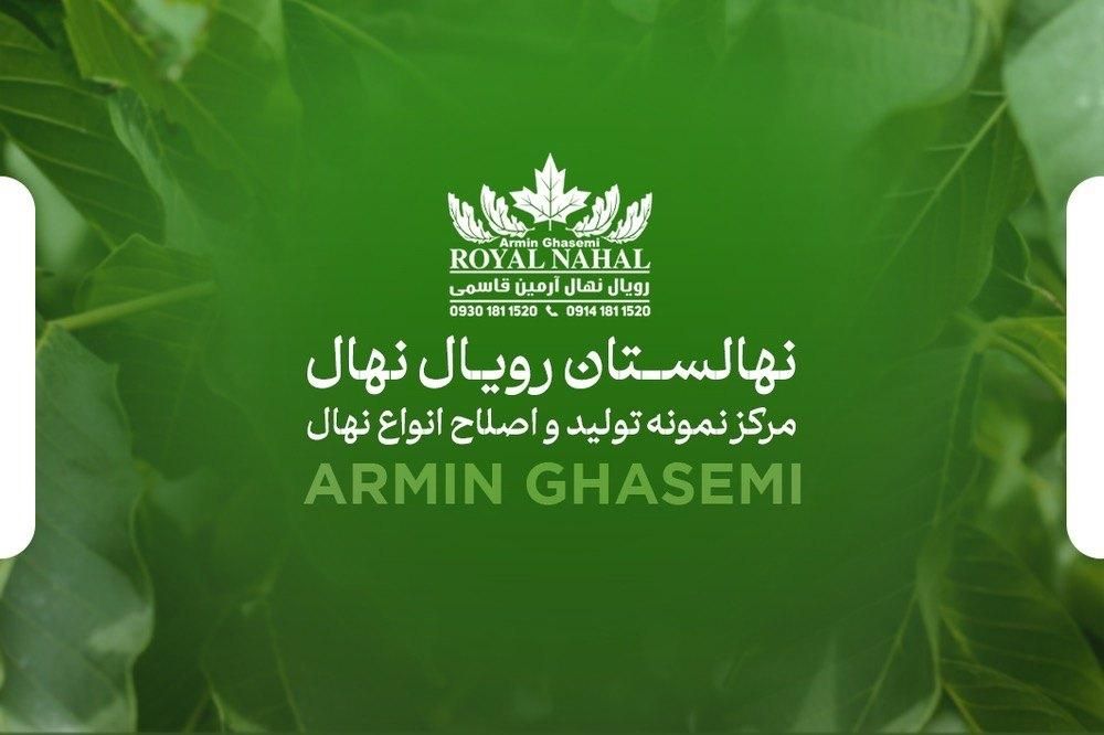 استخدامی نیروی خدماتی و نظافتی خانم|استخدام بازاریابی و فروش|میاندوآب, |دیوار