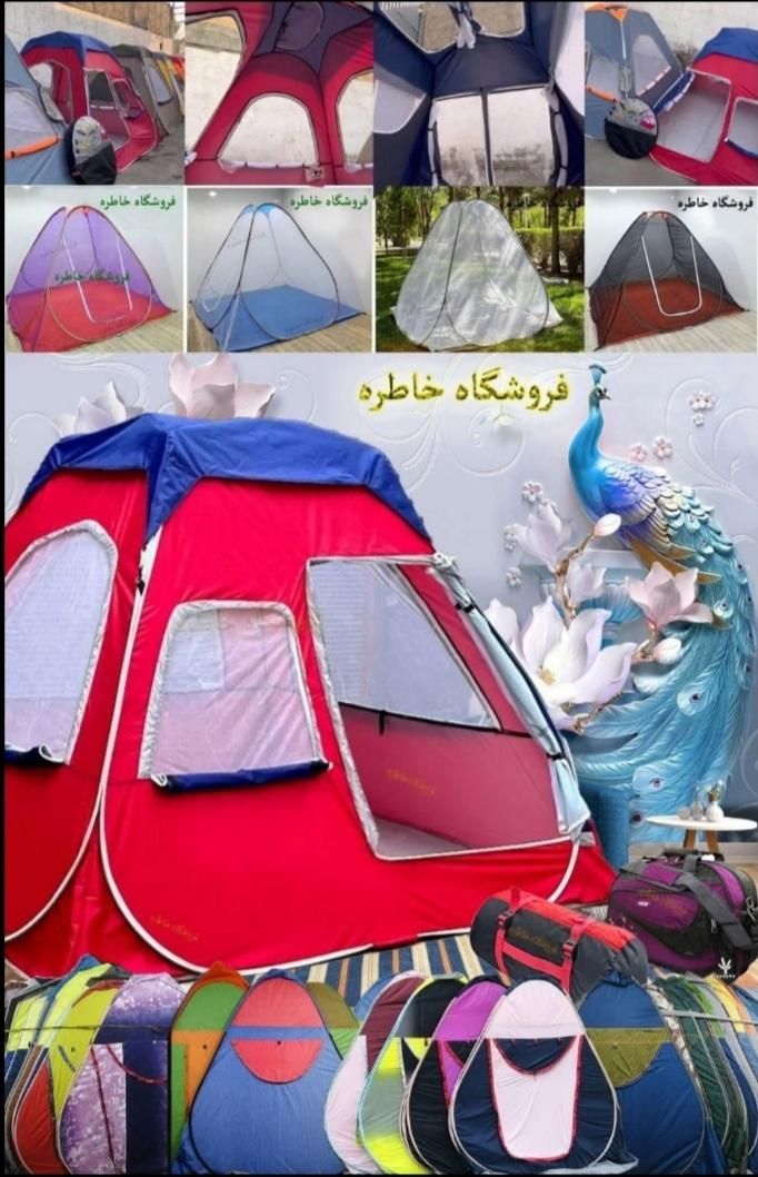 چادر مسافرتی/چادرمسافرتی / از تولیدی|کوهنوردی و کمپینگ|مشهد, طبرسی شمالی|دیوار