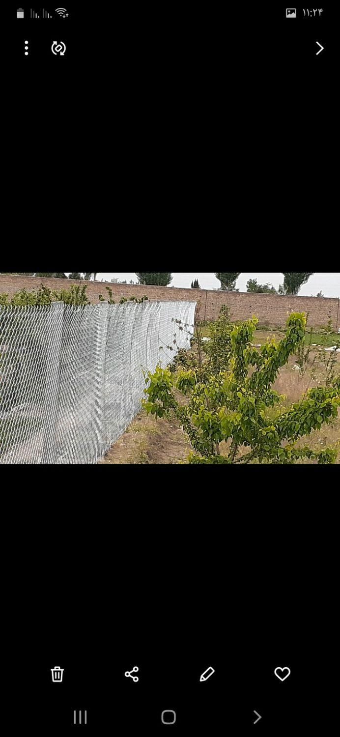 فنس پاکدشت|خدمات باغبانی و درختکاری|پاکدشت, پاکدشت (مامازند)|دیوار