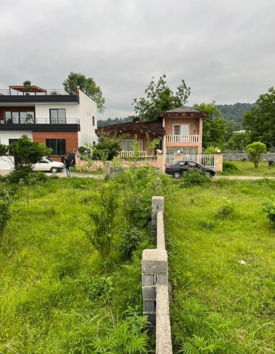 فروش زمین آماده ساخت سندار۲11متری باویو جنگل|فروش زمین و ملک کلنگی|رویان, |دیوار