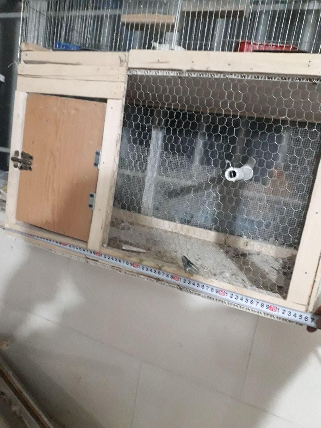 قفس جفت کن کبوتر فنچ و مرغ عشق|لوازم جانبی حیوانات|داران, |دیوار