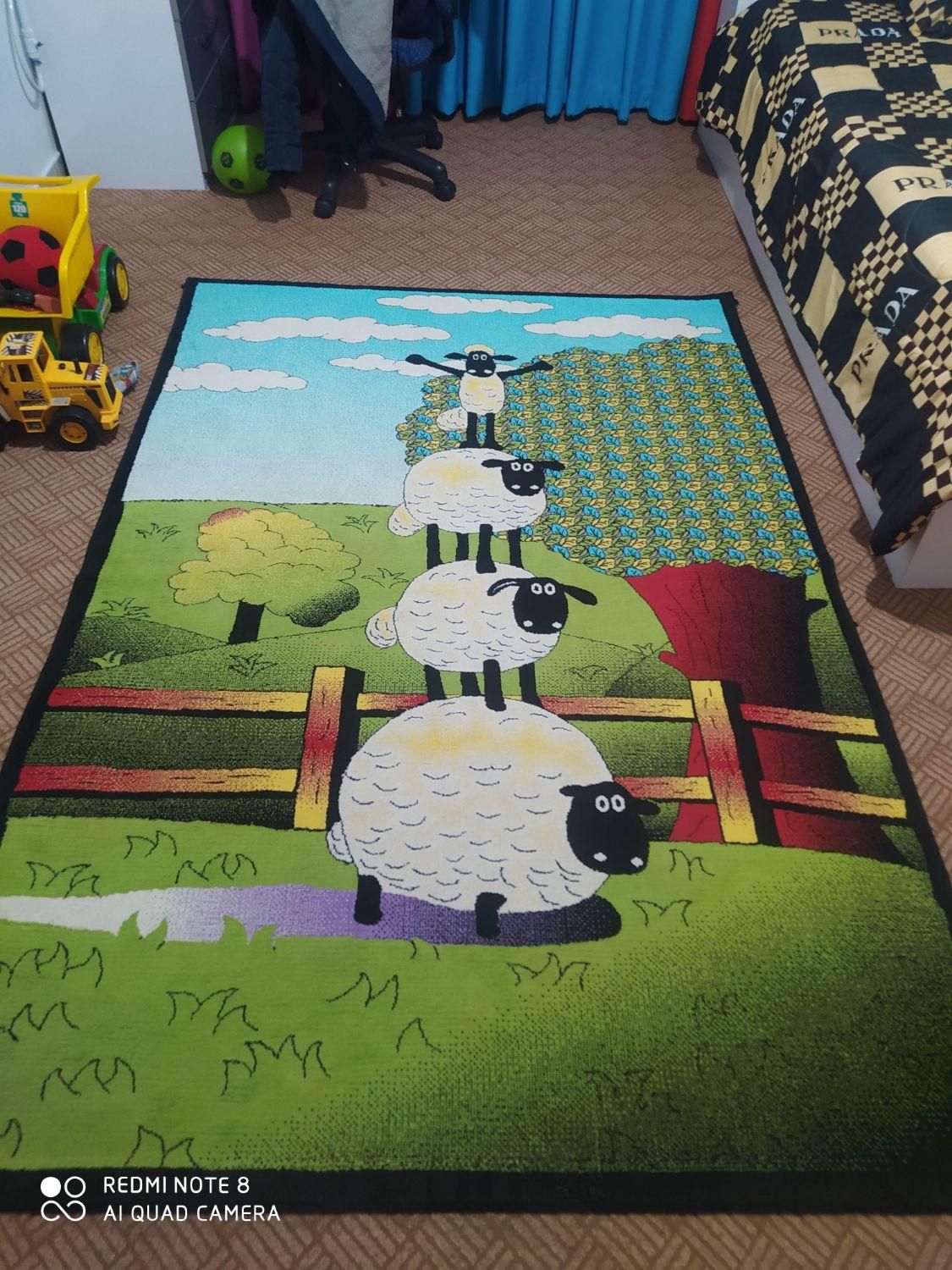 گلیم فرش بره ناقلا|گلیم، جاجیم، گبه|شاهرود, |دیوار