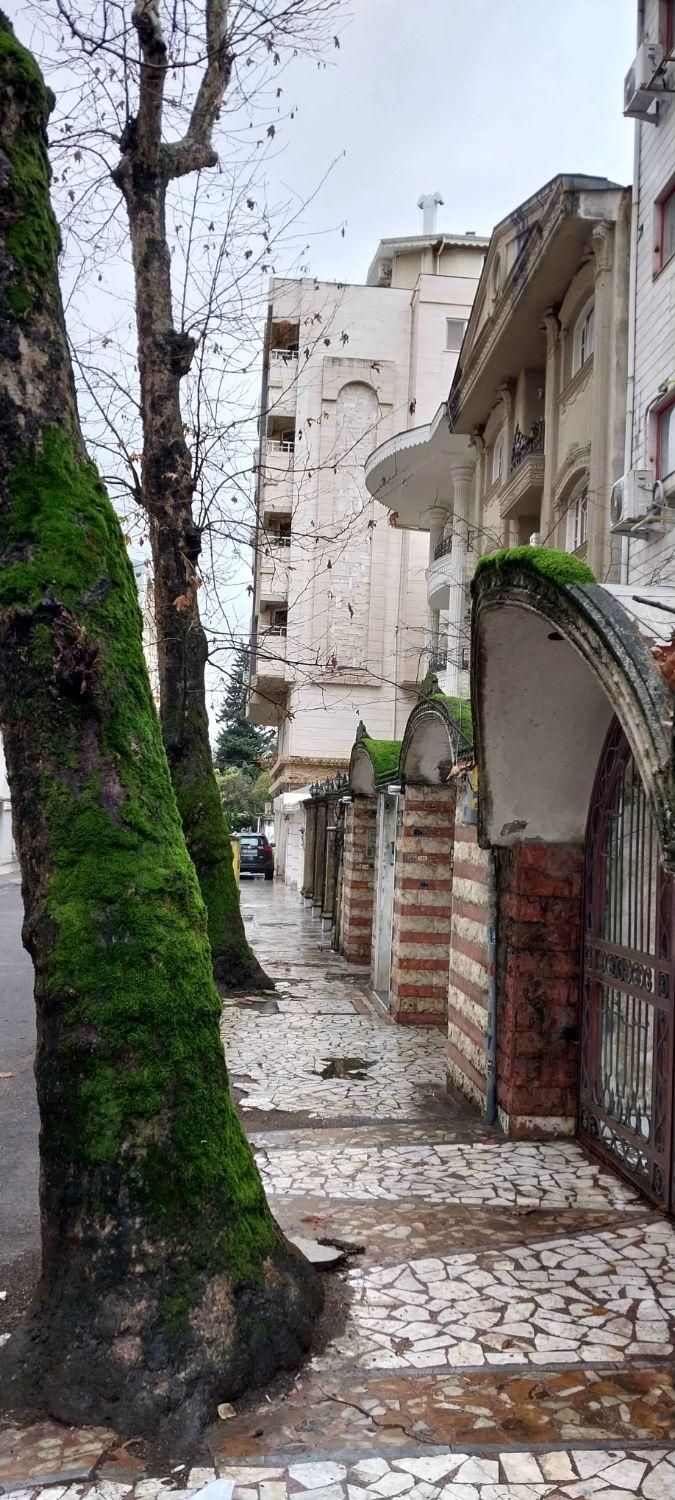 همراهی در مطالعه|فعالیت داوطلبانه|رشت, بلوار گیلان|دیوار