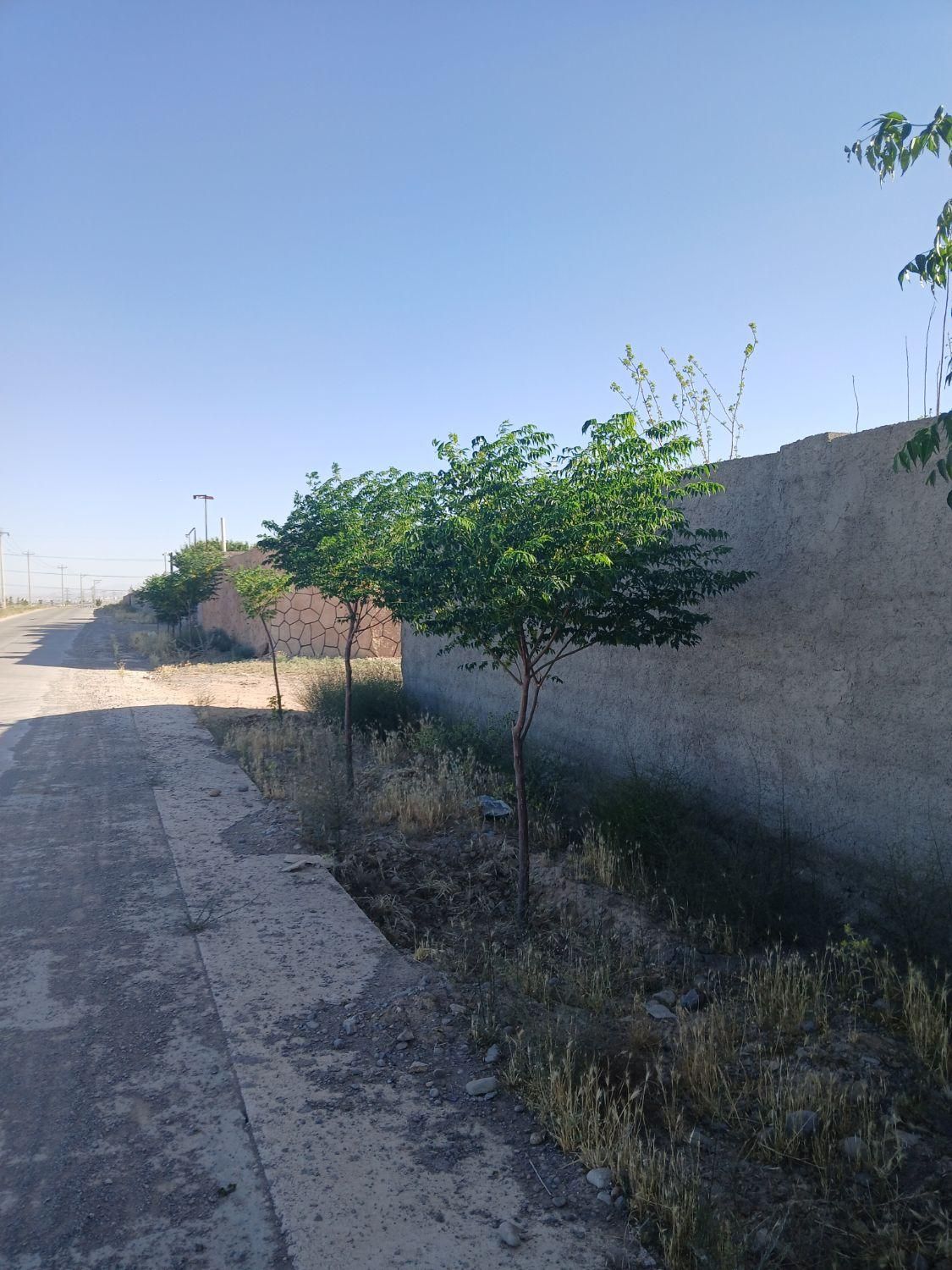 زمین۵۱۴مترسندارباآب شرب محدوده آرامگاه فردوسی|فروش زمین و ملک کلنگی|مشهد, نوچاه|دیوار