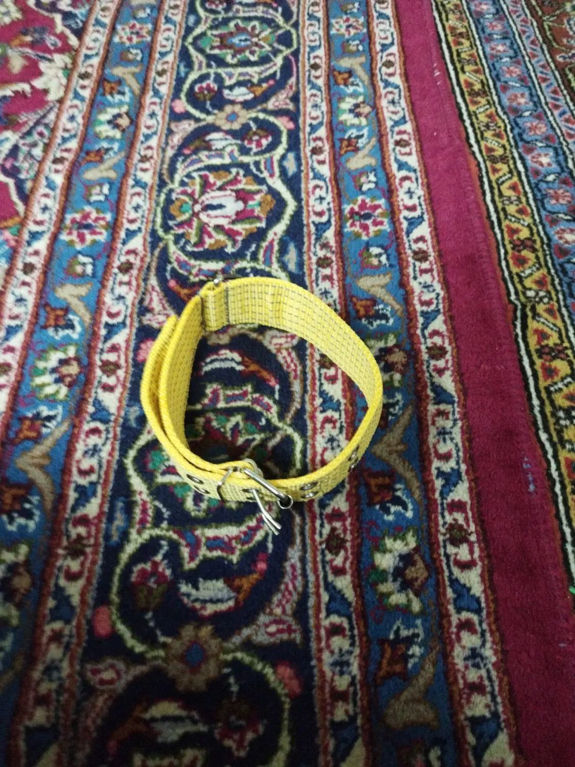 قلاده گردن سگ مدل برزنتی|لوازم جانبی حیوانات|تهران, گمرک|دیوار