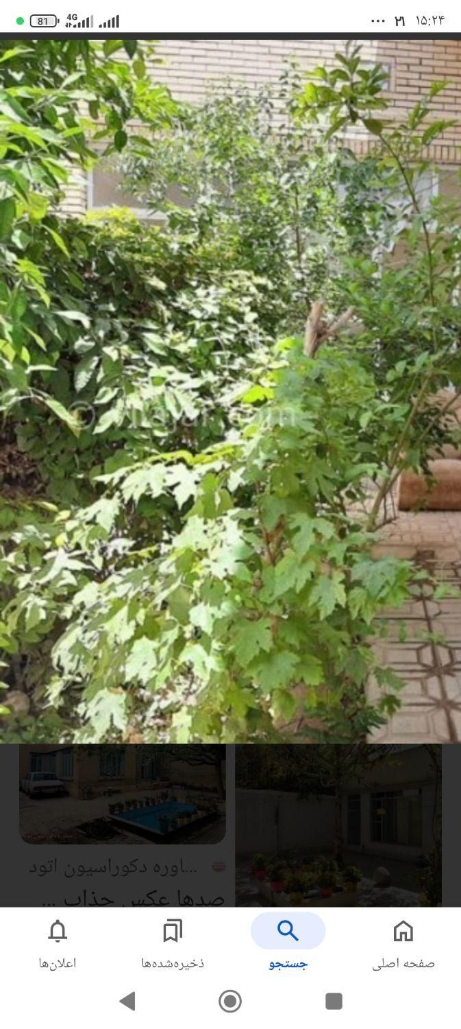 خانه|فروش خانه و ویلا|تربت‌حیدریه, رضاشهر|دیوار