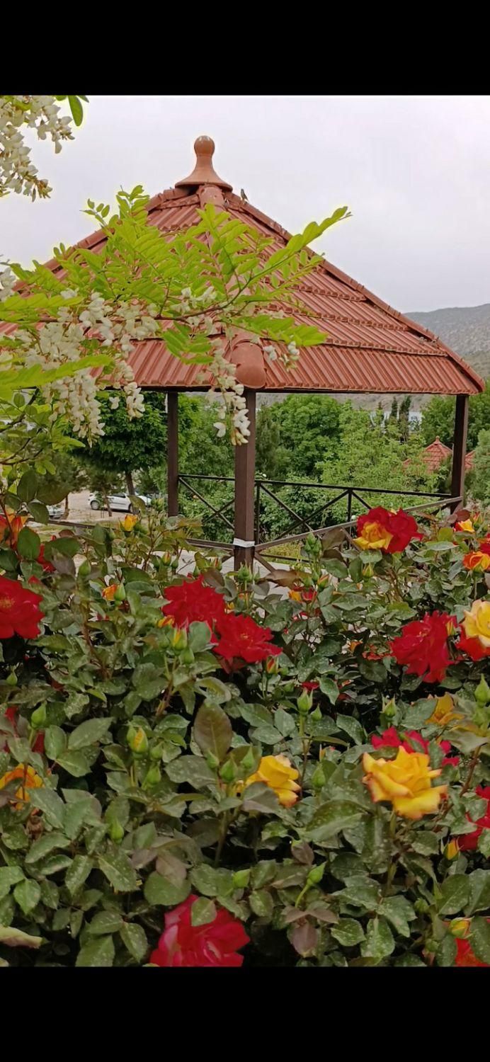 اجاره سوییت اقامتی درساحل سد کنگیر ایوان|اجارهٔ کوتاه‌مدت ویلا و باغ|ایوان, |دیوار