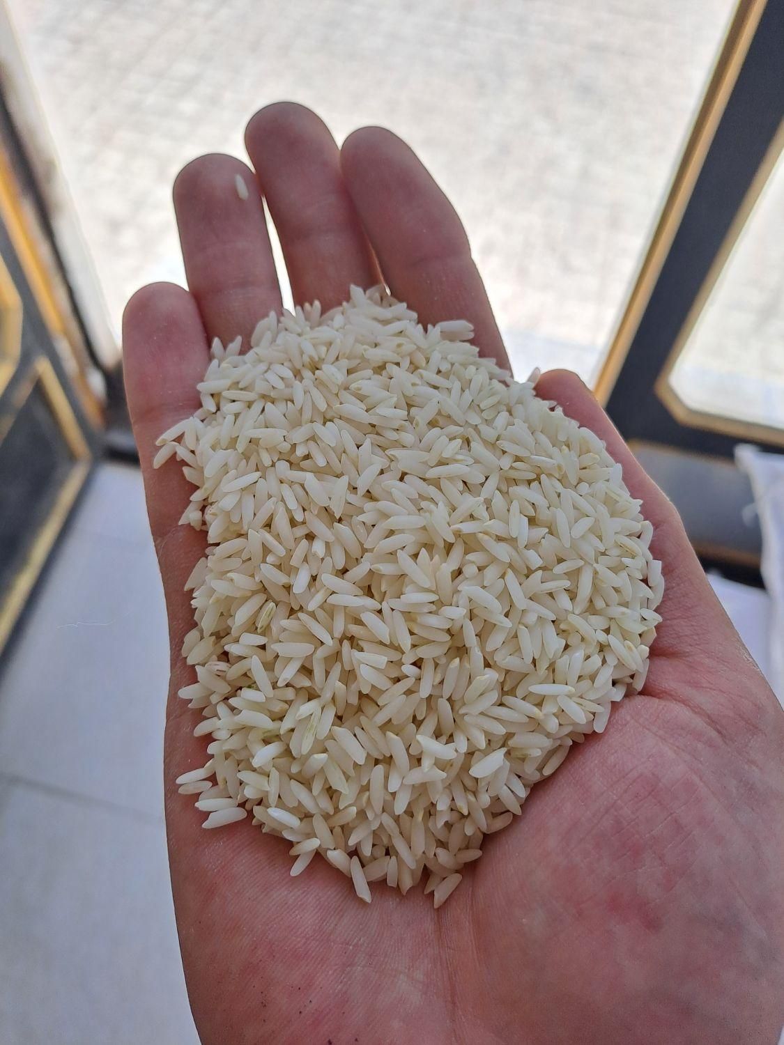 برنج صدری گوهر طارم|خوردنی و آشامیدنی|زنجان, |دیوار