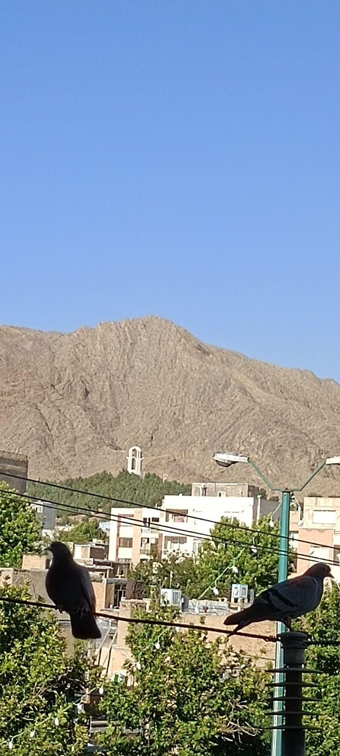 رهن واجاره تک واحد دکتراقبال|اجارهٔ آپارتمان|ملایر, |دیوار