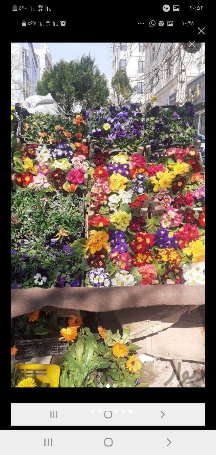 باغبانیوسمپاشی،پردیس،بومهن،رودهن،وحومه|خدمات باغبانی و درختکاری|پردیس, فاز ۴|دیوار