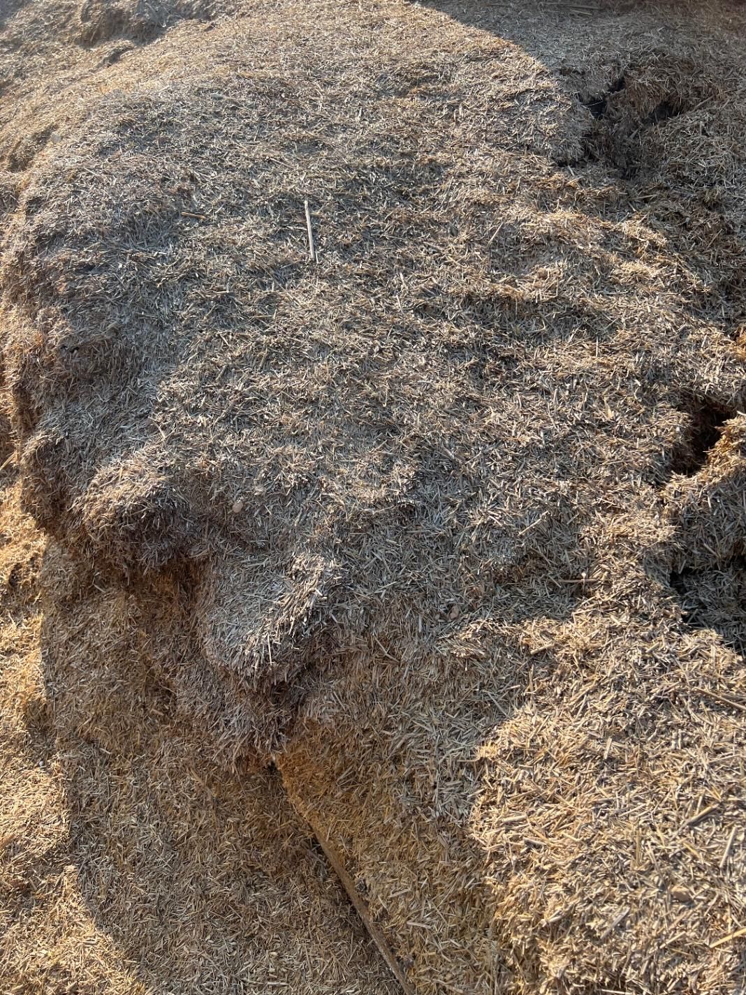 کاه پارسال|حیوانات مزرعه|شوشتر, |دیوار