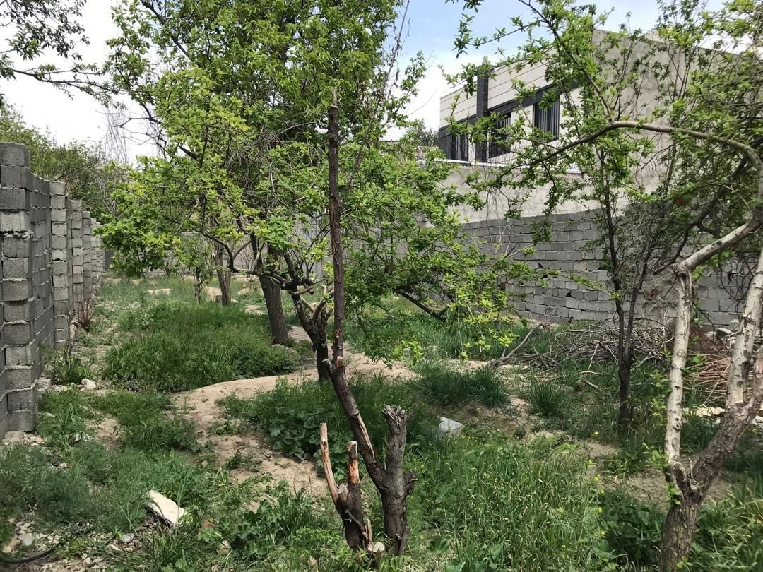 باغچه ۱۵ کیلومتری غرب تهران، سند تک برگ، ۷۳۰ متر|فروش زمین و ملک کلنگی|کرج, کلاک نو|دیوار