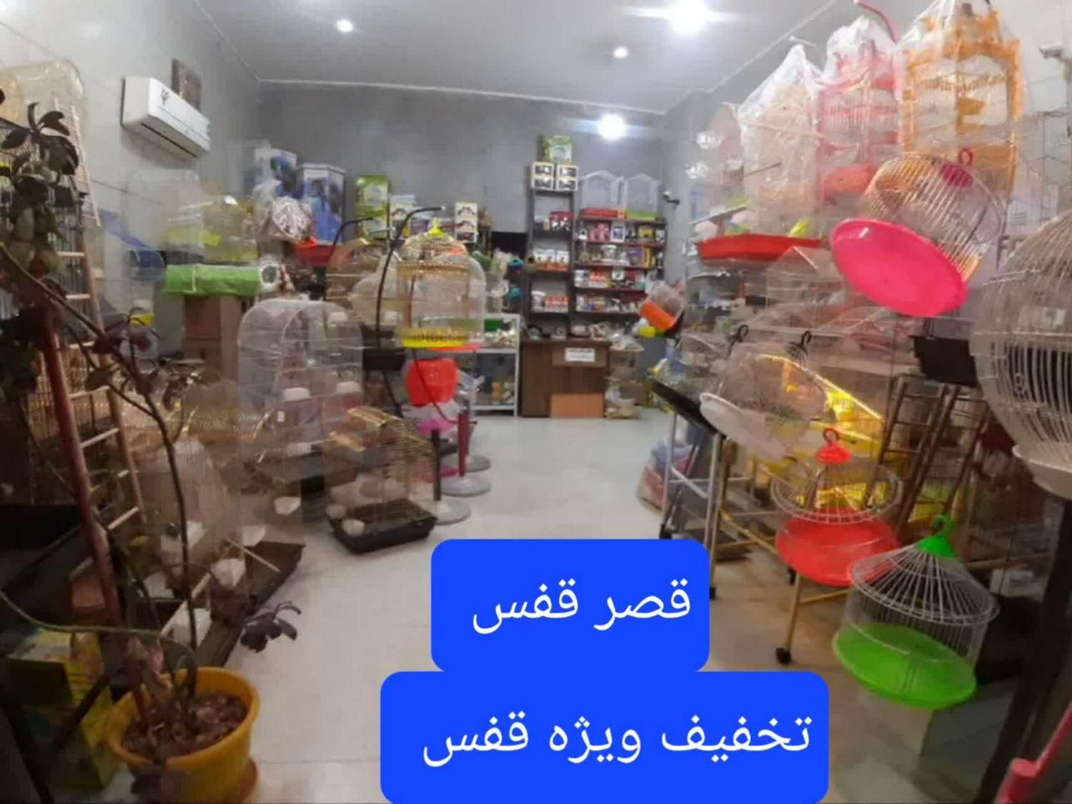 ملزومات پرندگان.دان|لوازم جانبی حیوانات|قم, پردیسان|دیوار