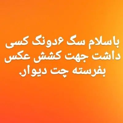 سگ قهدریجانی|سگ|اصفهان, سپاهان‌شهر|دیوار