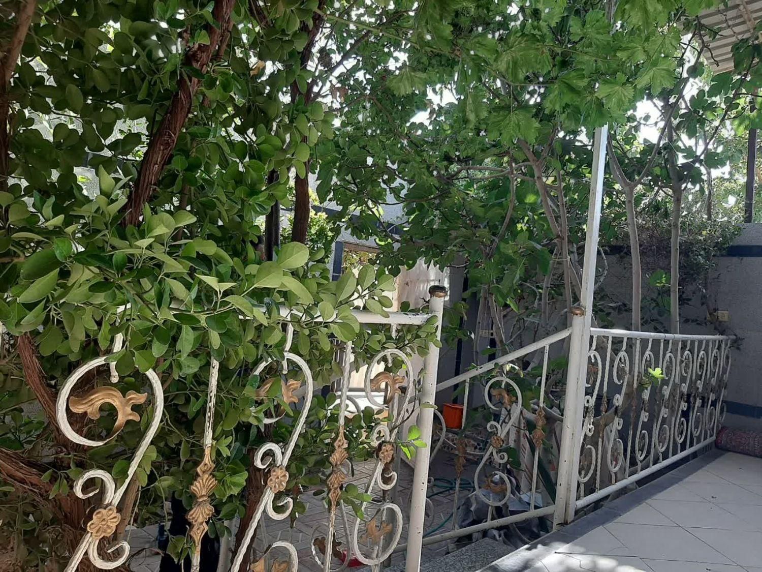 تصویر 3