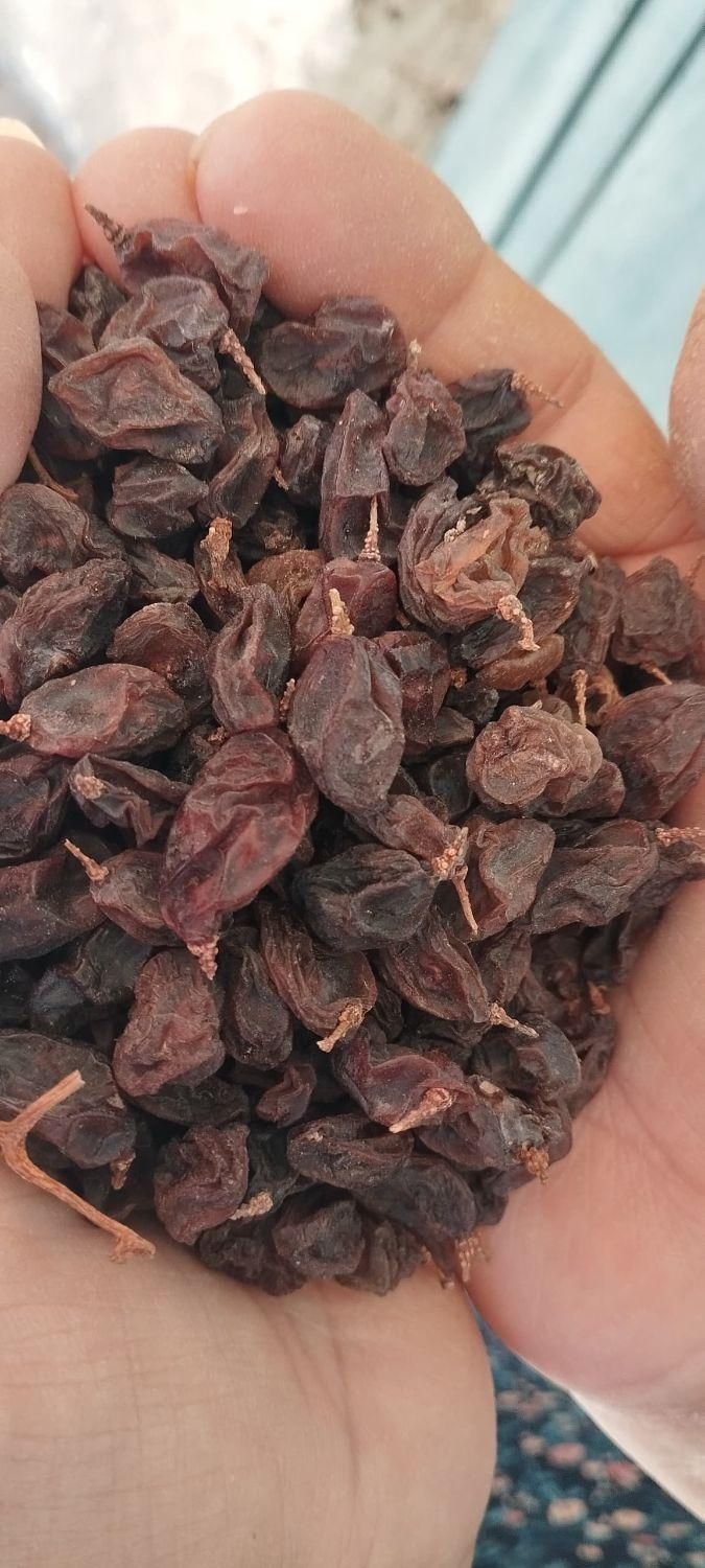 مویز شیرین عال، تمیز شده|حراج|شیراز, شهرک گلستان شمالی|دیوار