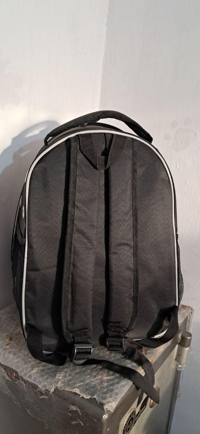 کیف حیوانات در حد نو|لوازم جانبی حیوانات|حویق, |دیوار