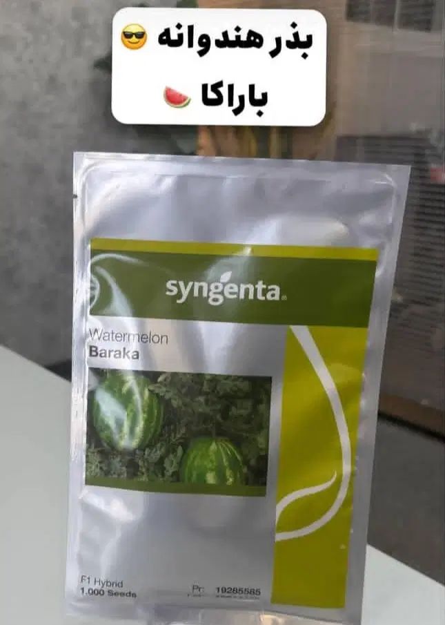 بذر شلغم،بذر یونجه،بذر لبو ،بذر شوید،بذر تربچه|گل و گیاه طبیعی|اصفهان, سلطان‌آباد|دیوار