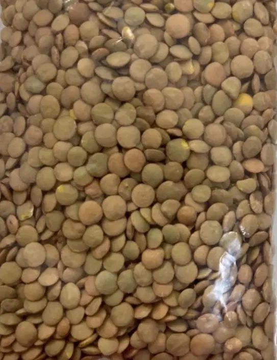 حبوبات فله|خوردنی و آشامیدنی|مشهد, ده دی|دیوار