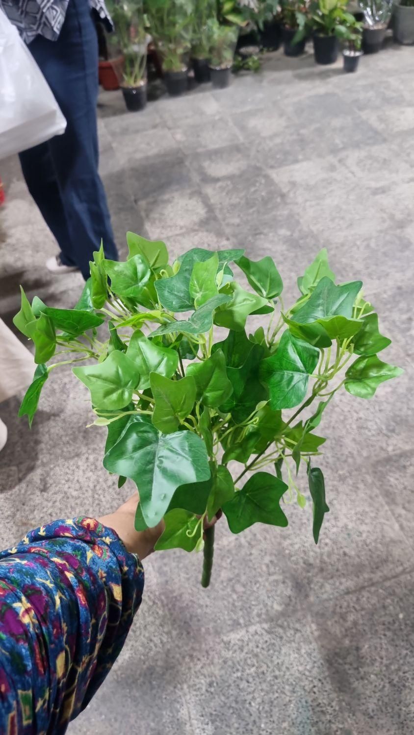 بوته های برگ مصنوعی خارجی|گل مصنوعی|فردیس, فردیس|دیوار