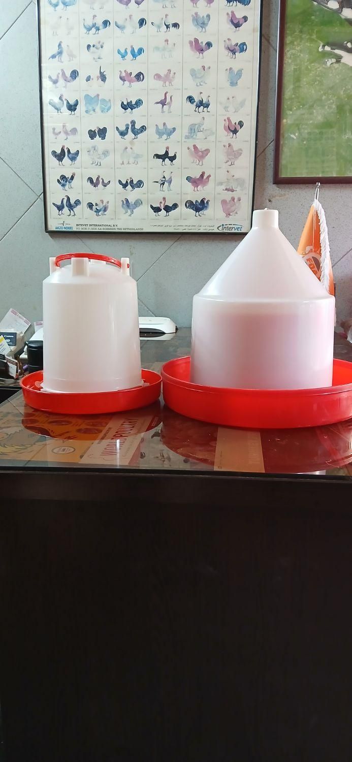 آبخوری ودانخوری مرغ وجوجه|لوازم جانبی حیوانات|تهران, توحید|دیوار