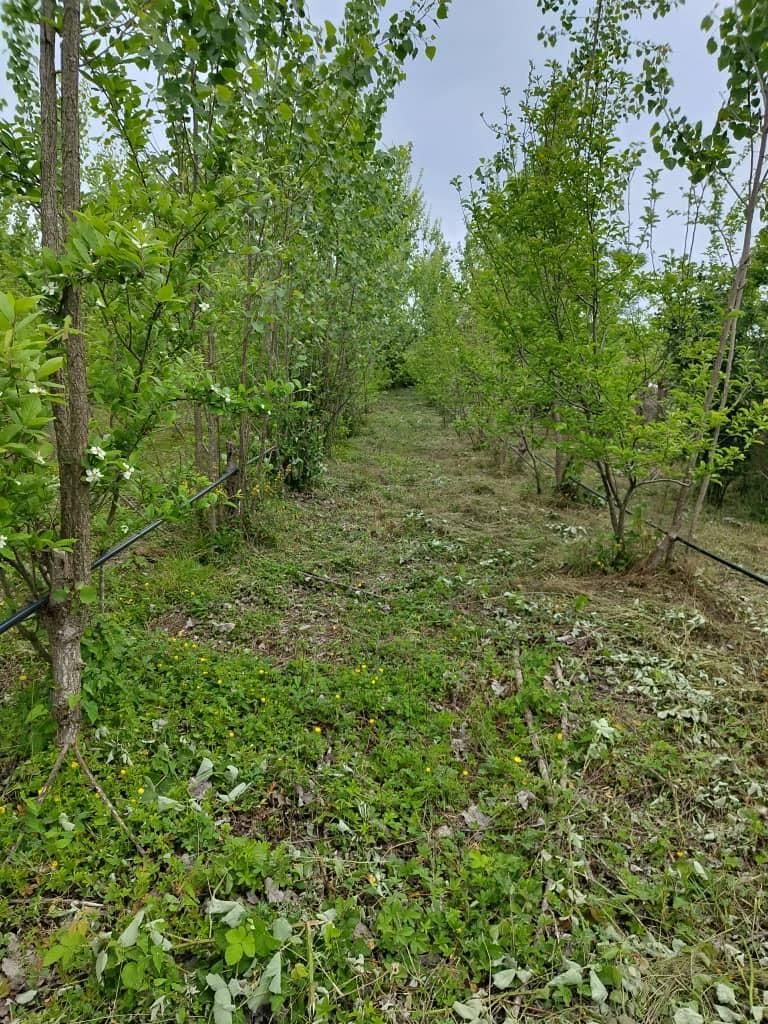 زمین زراعی به متراژ ۷۰۰۰ متر مربع دارای سند|فروش دفتر صنعتی، کشاورزی، تجاری|تهران, استاد معین|دیوار